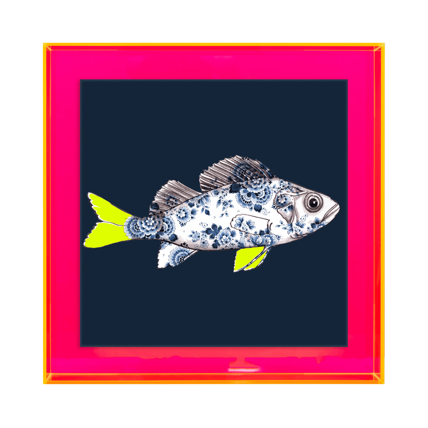 Funky Fish Baars Blauw