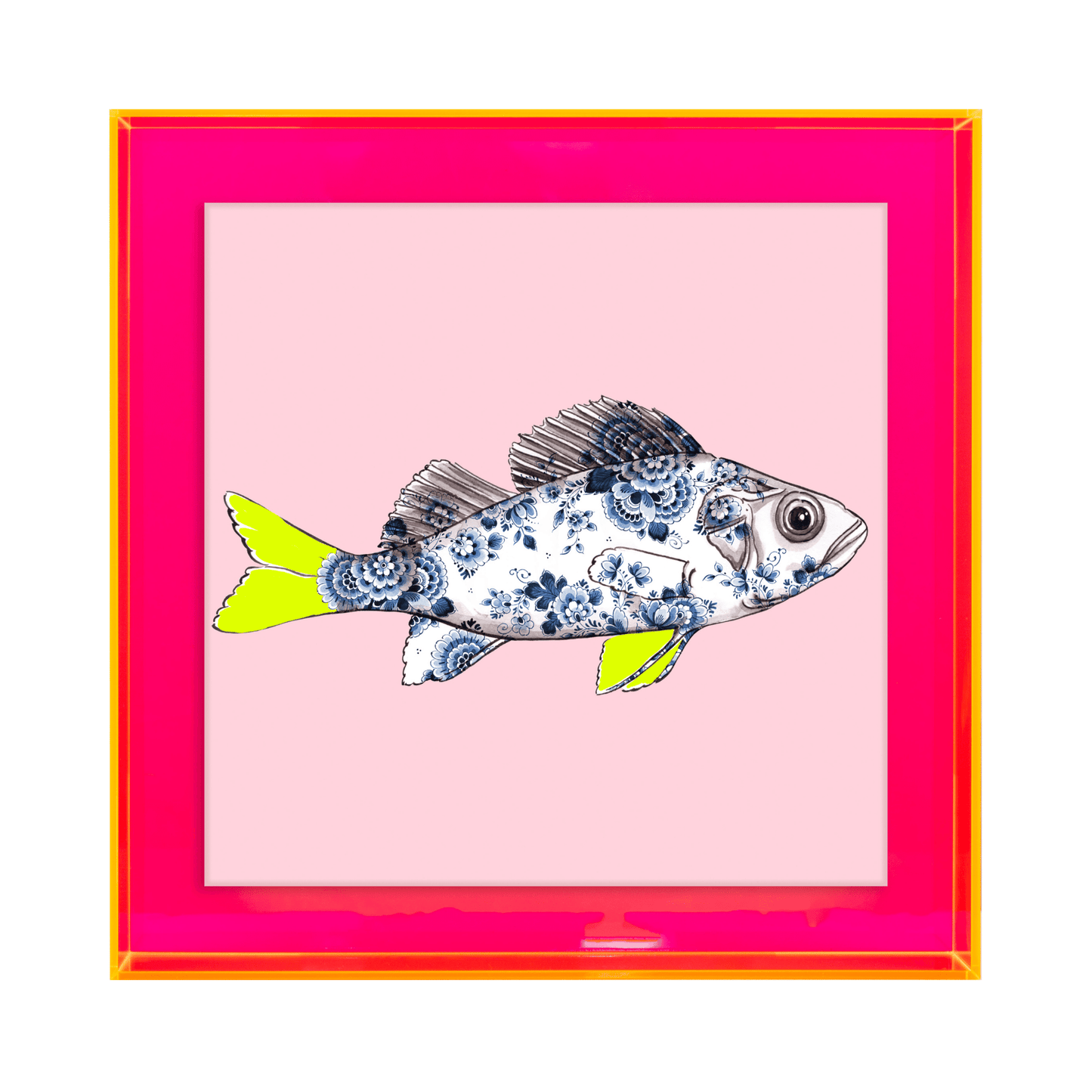 Funky Fish Baars Roze