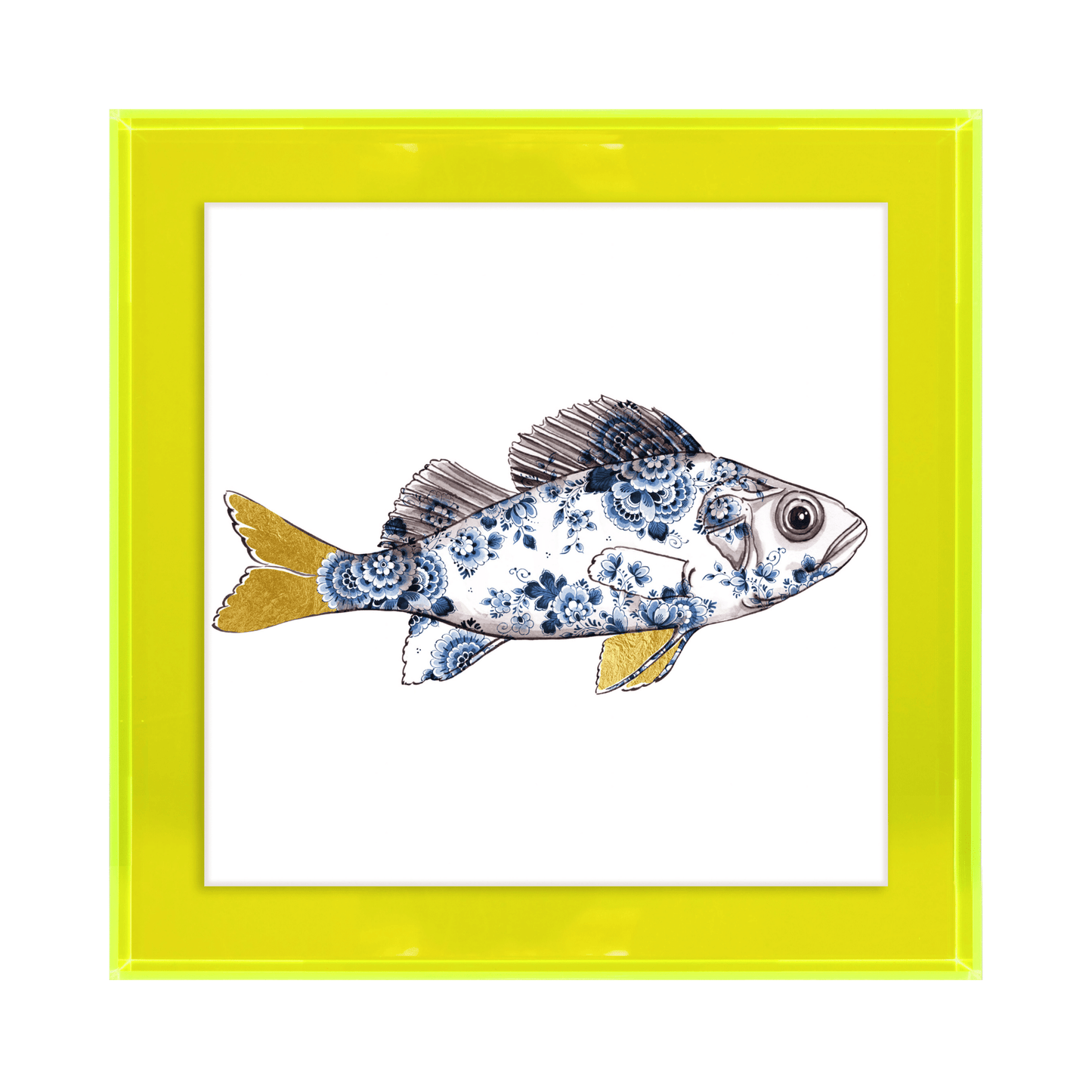 Funky Fish Baars Wit