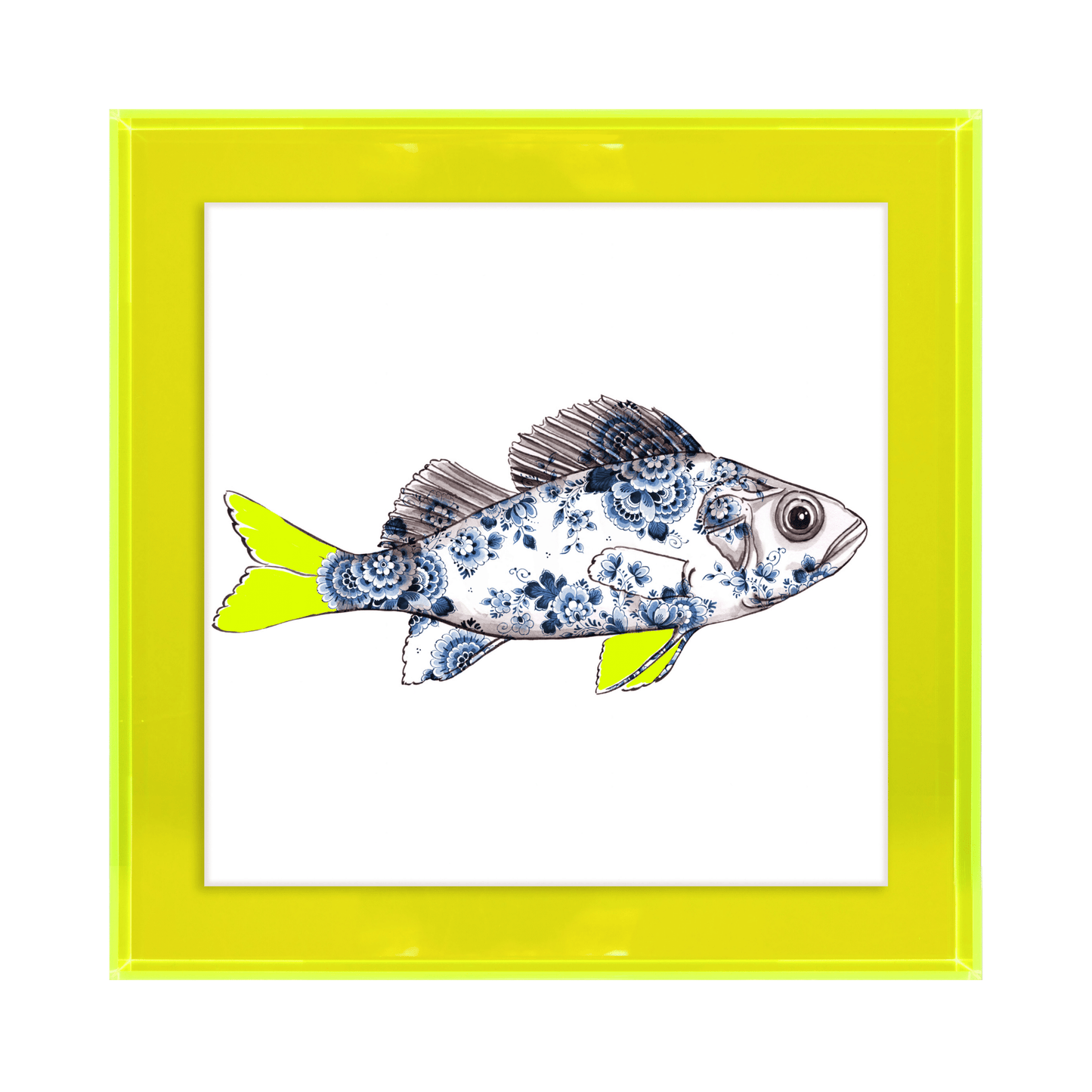 Funky Fish Baars Wit