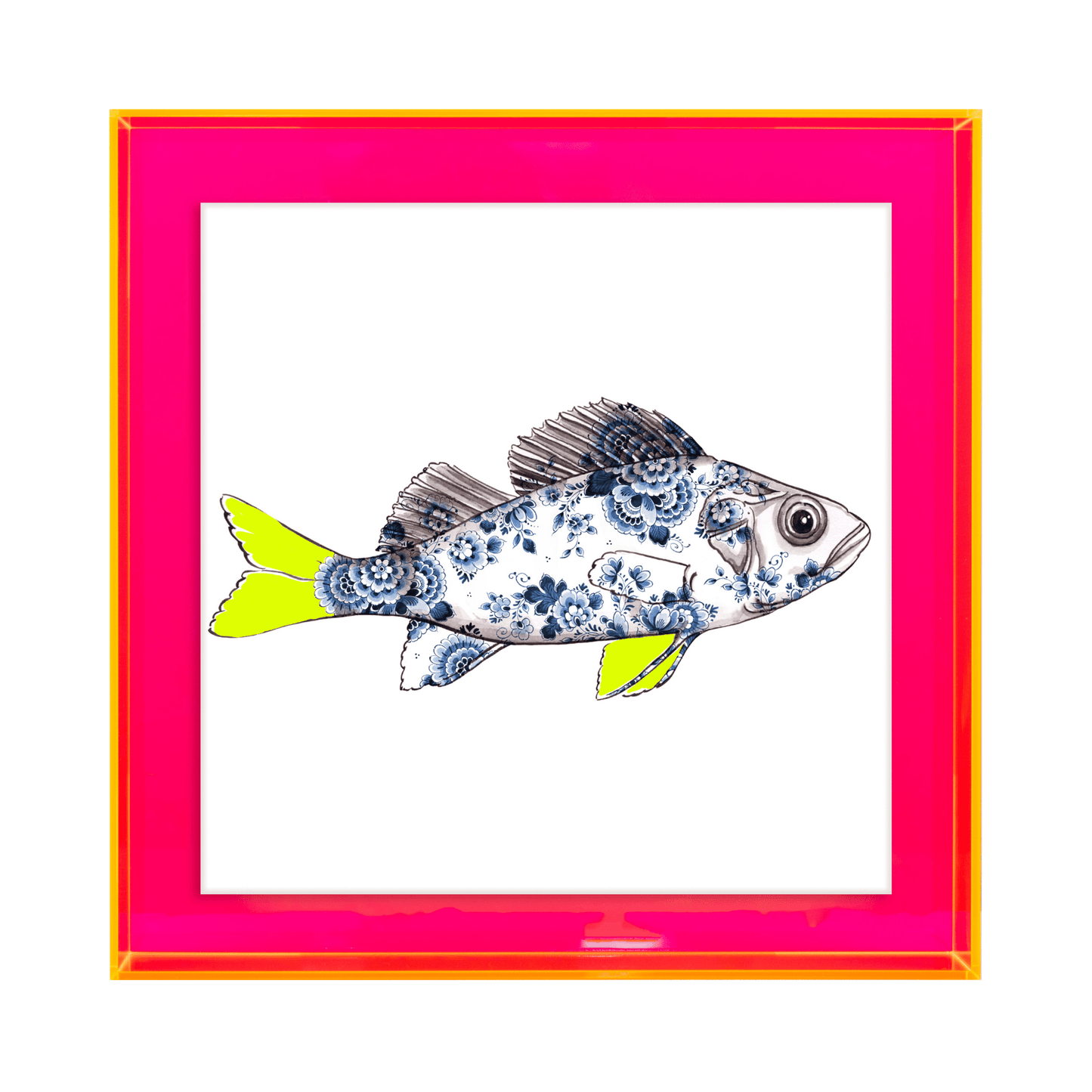 Funky Fish Baars Wit