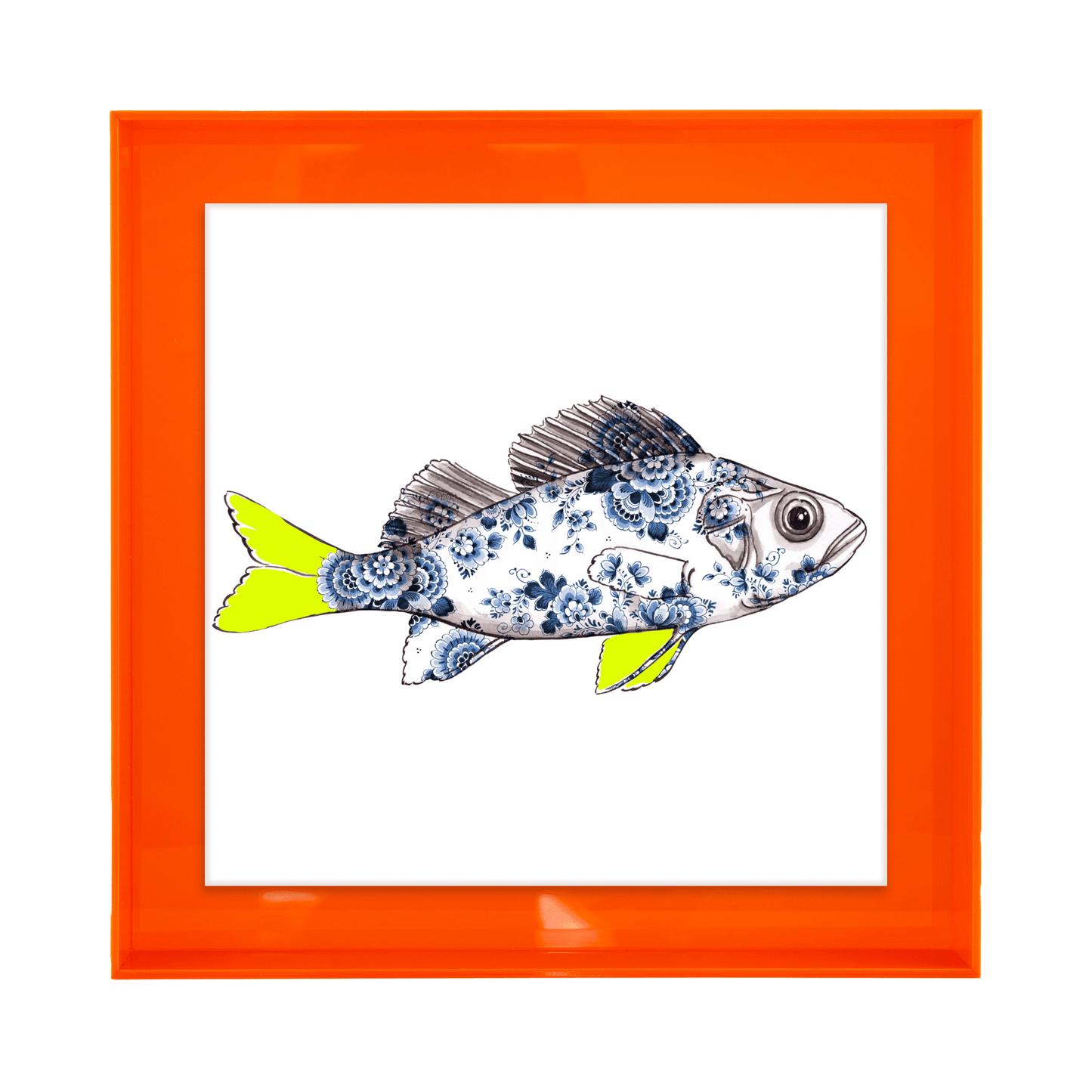 Funky Fish Baars Wit