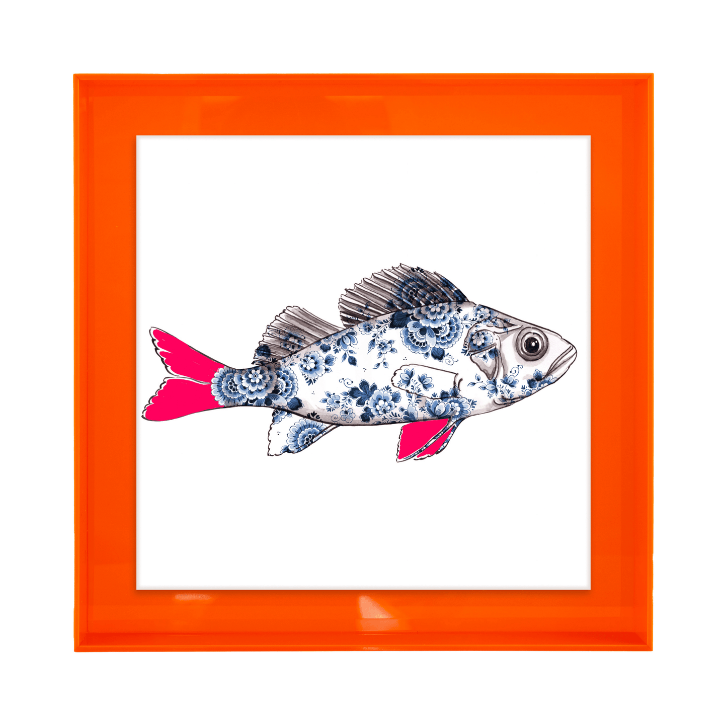 Funky Fish Baars Wit