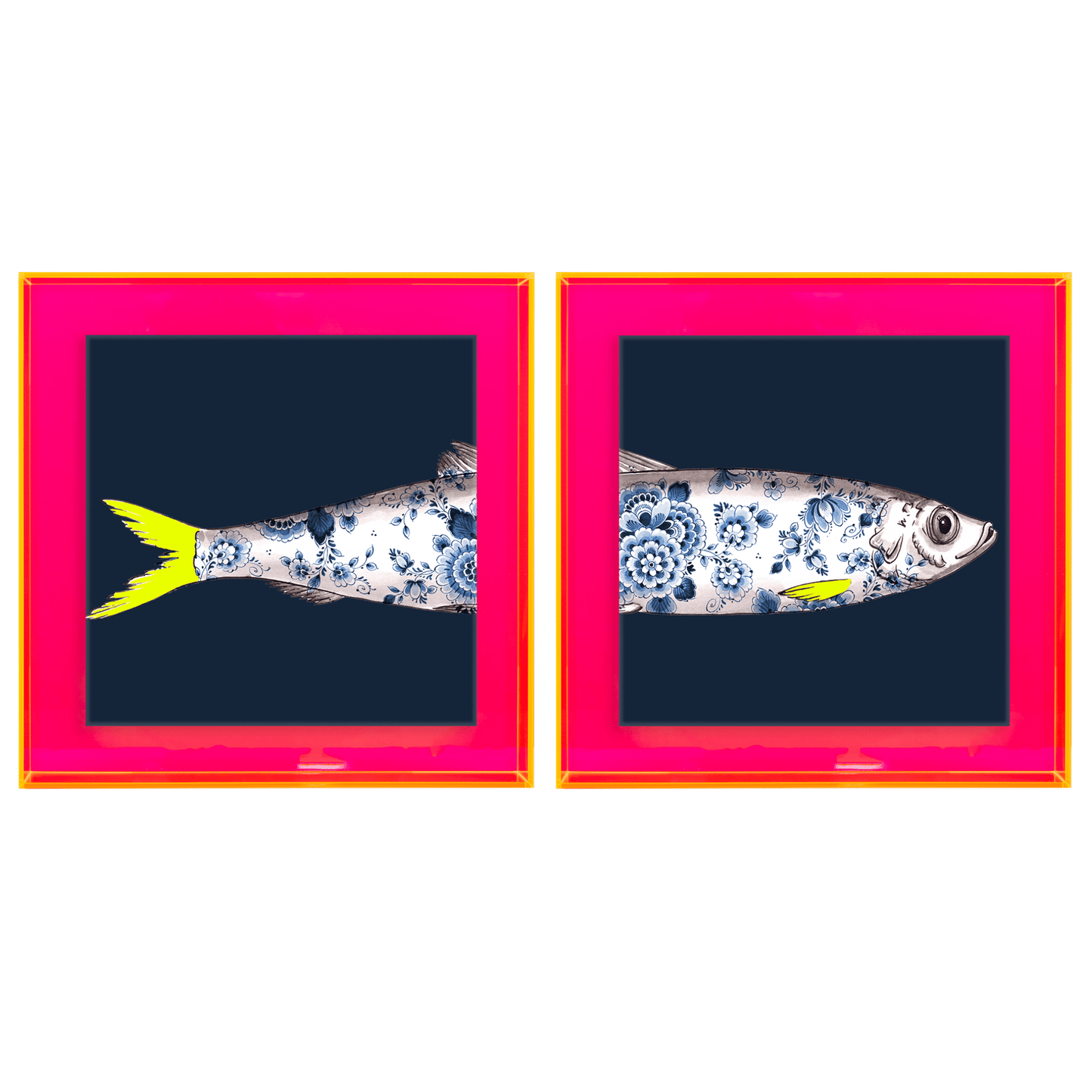 Funky Fish Haring Blauw tweeluik