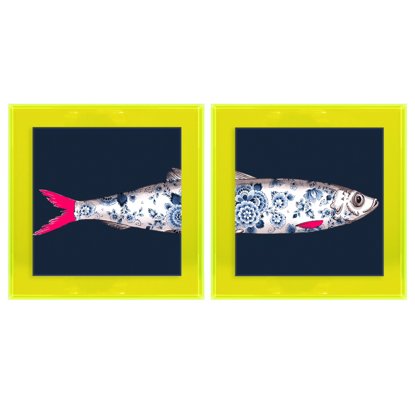 Funky Fish Haring Blauw tweeluik