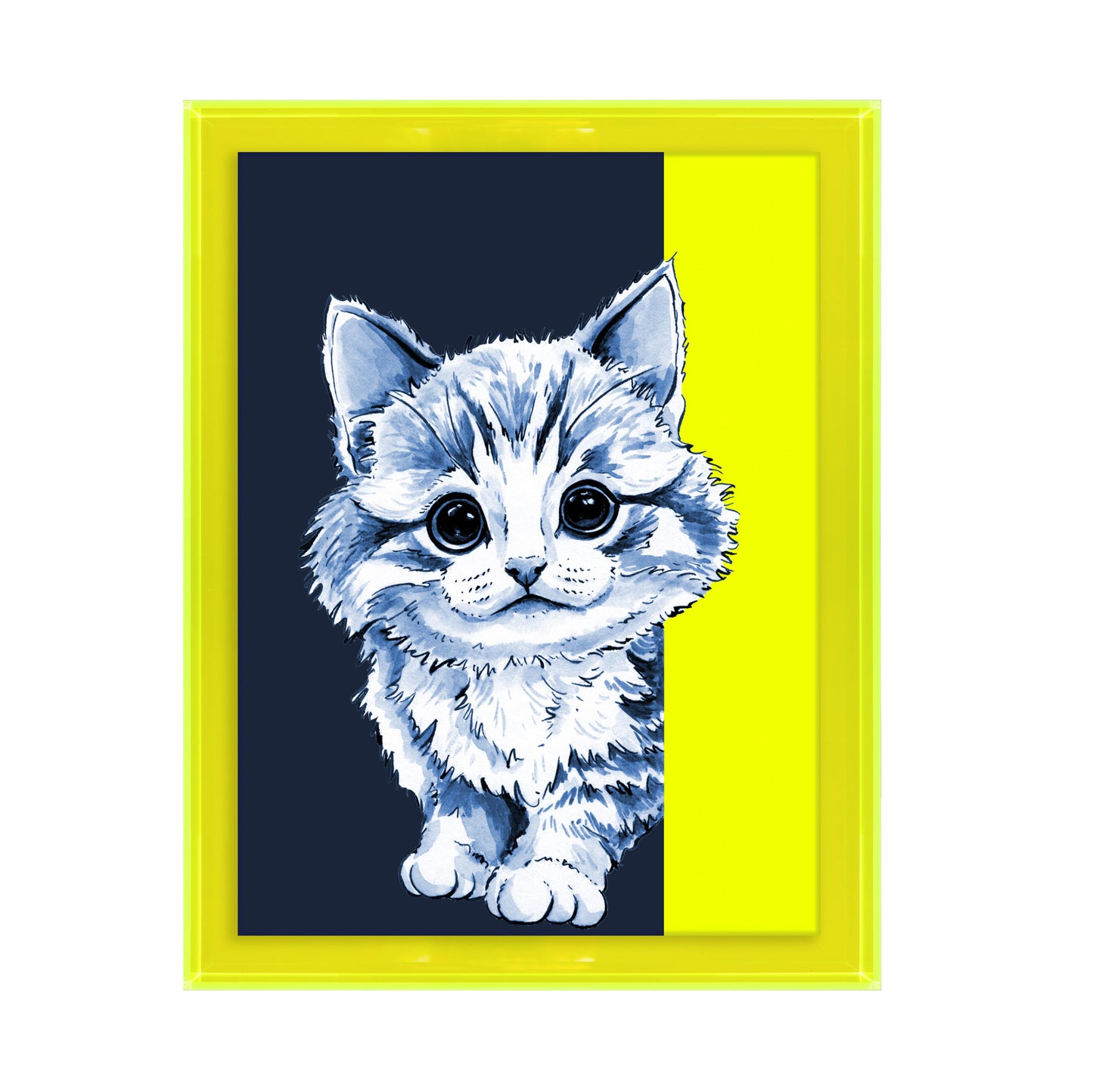 Tom de poes op blauwe achtergrond