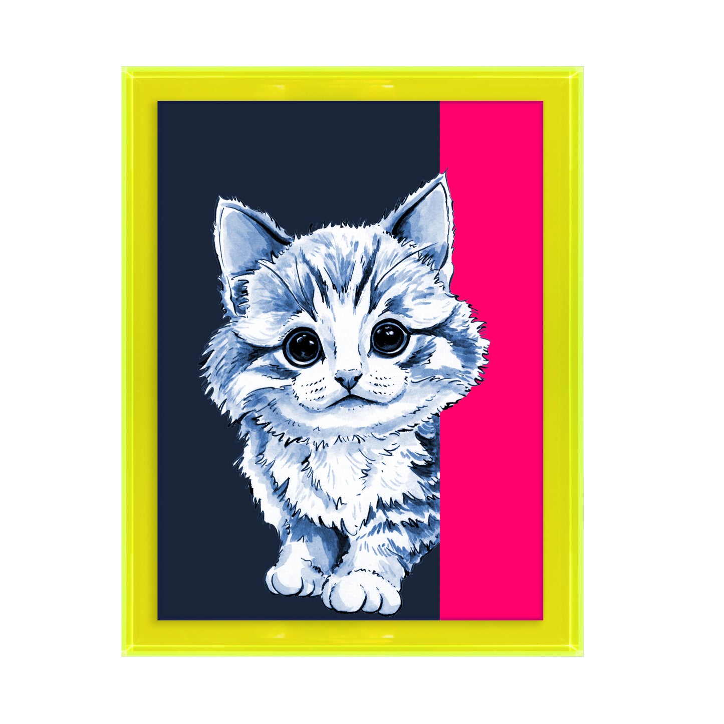 Tom de poes op blauwe achtergrond