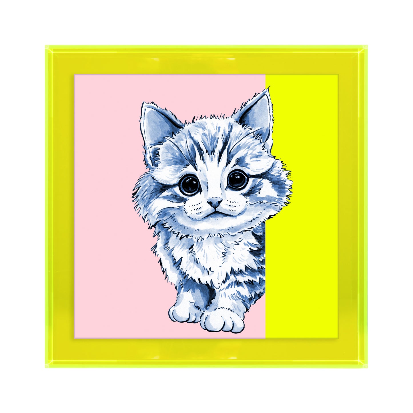 Tom de poes op roze achtergrond vierkant