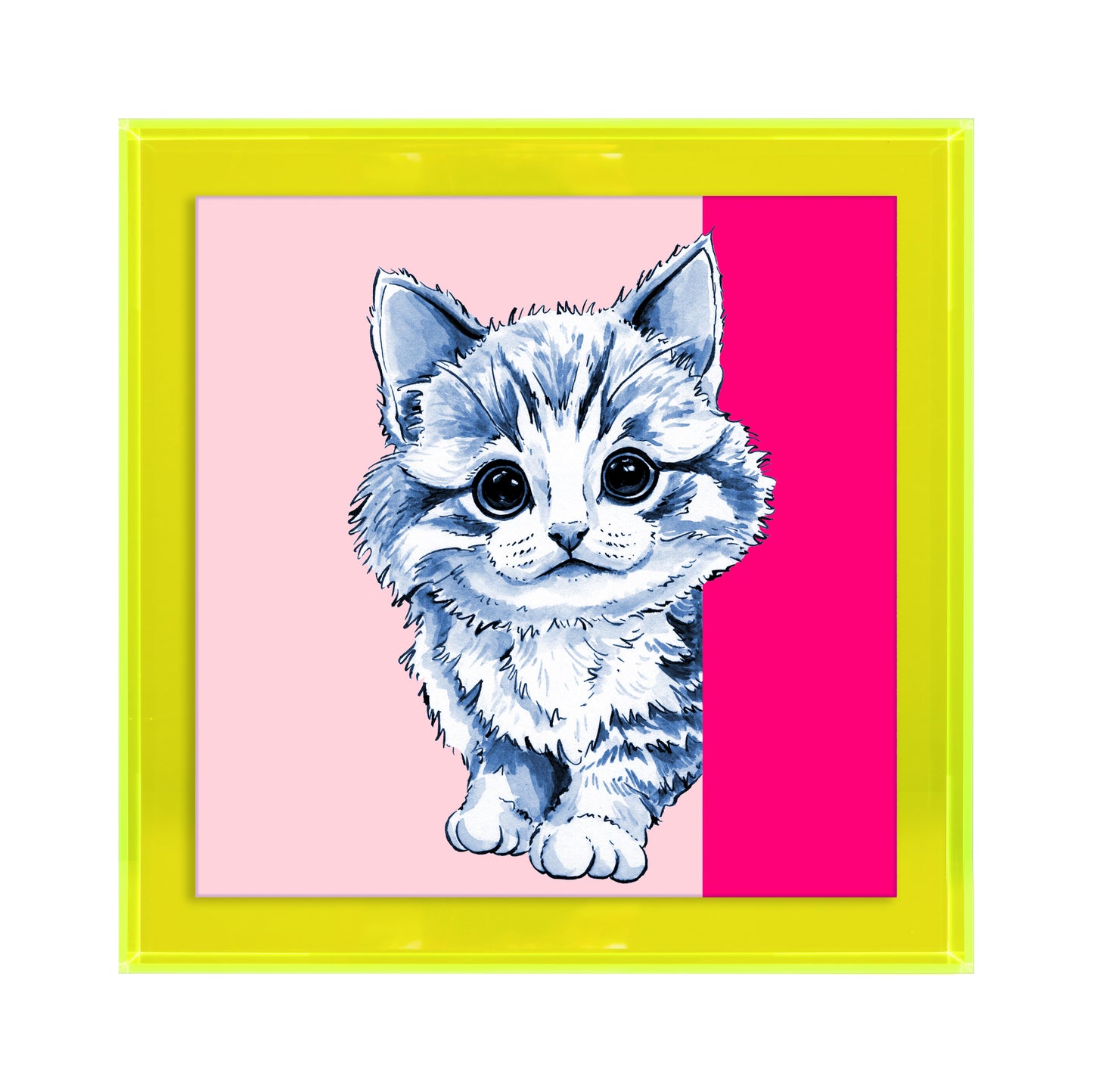 Tom de poes op roze achtergrond vierkant