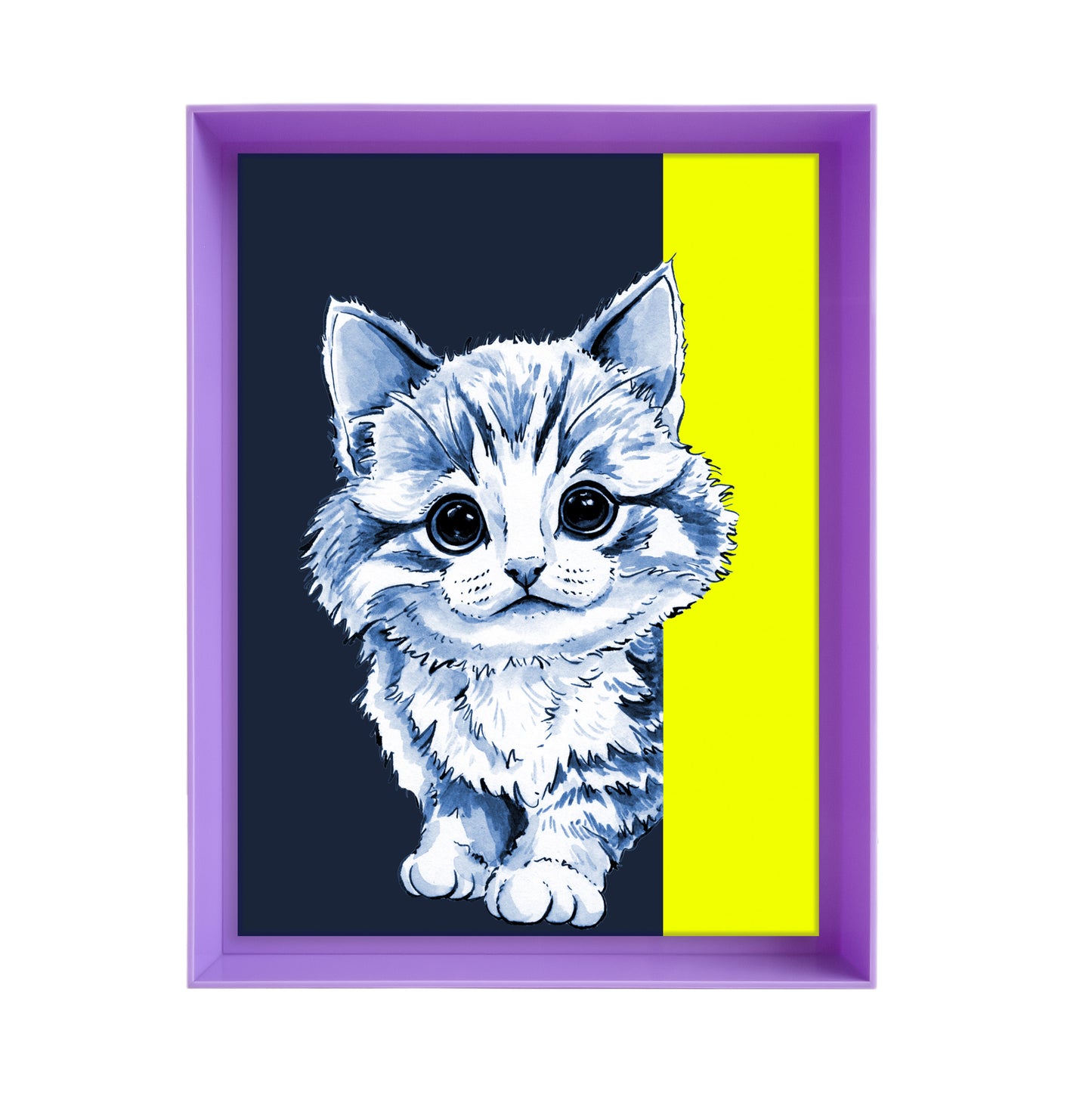 Tom de poes op blauwe achtergrond