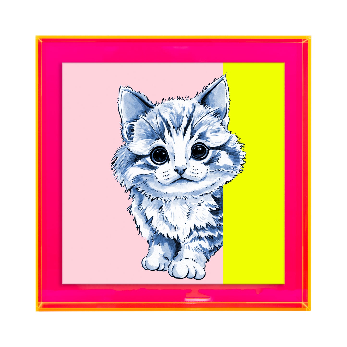 Tom de poes op roze achtergrond vierkant
