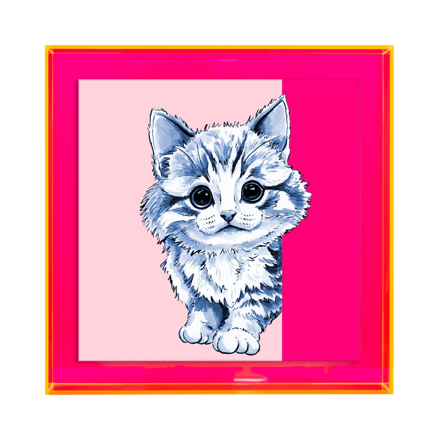 Tom de poes op roze achtergrond vierkant