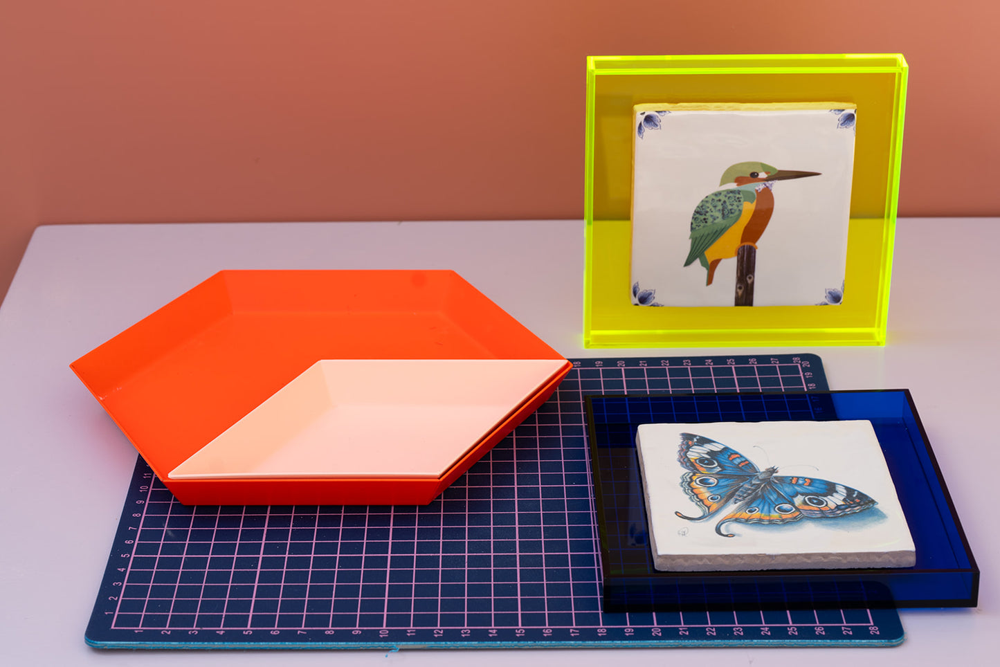 Vrije vogel ijsvogel