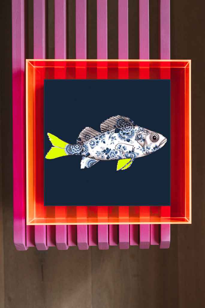 Funky Fish Baars Blauw