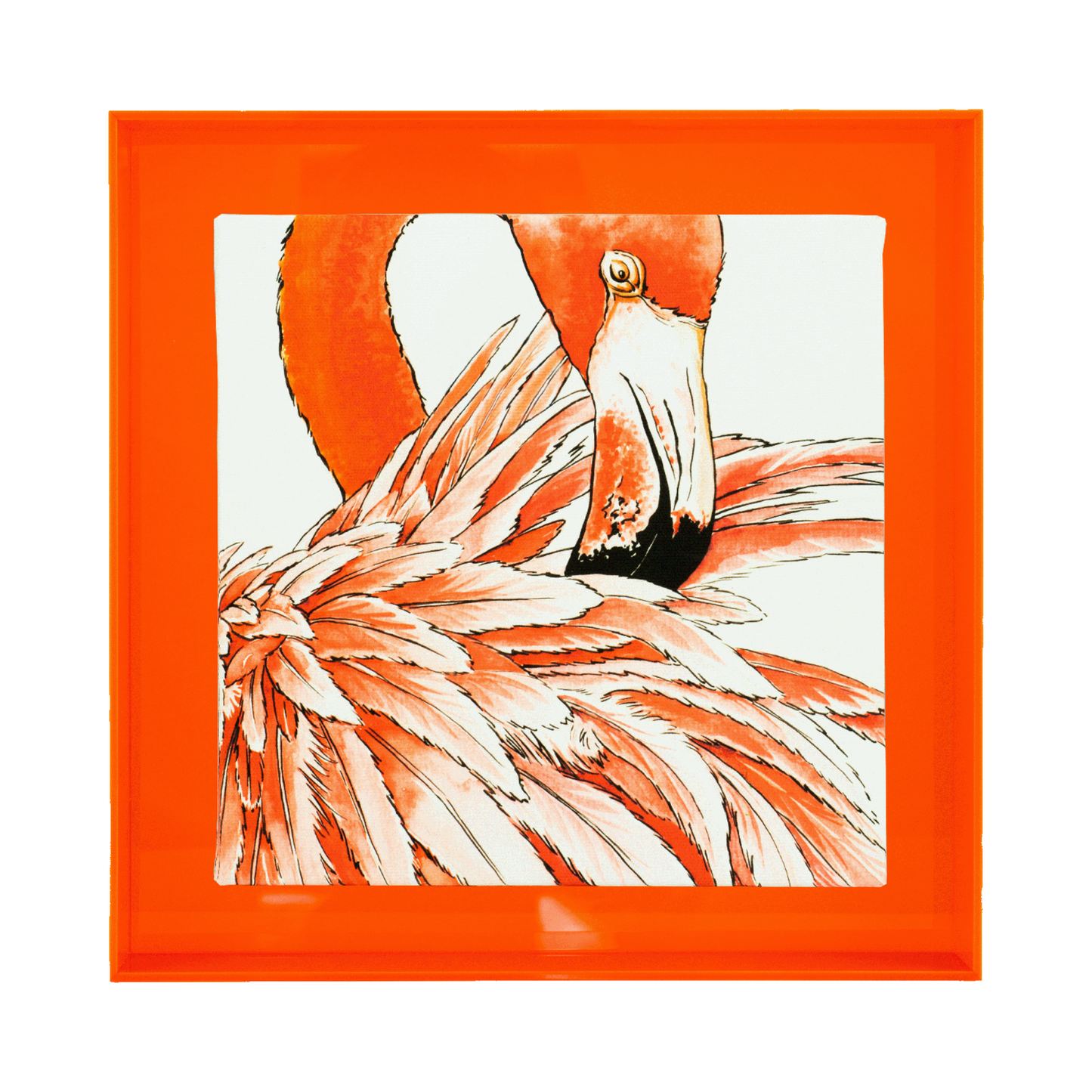 Birds of paradise 'Flamingo'
