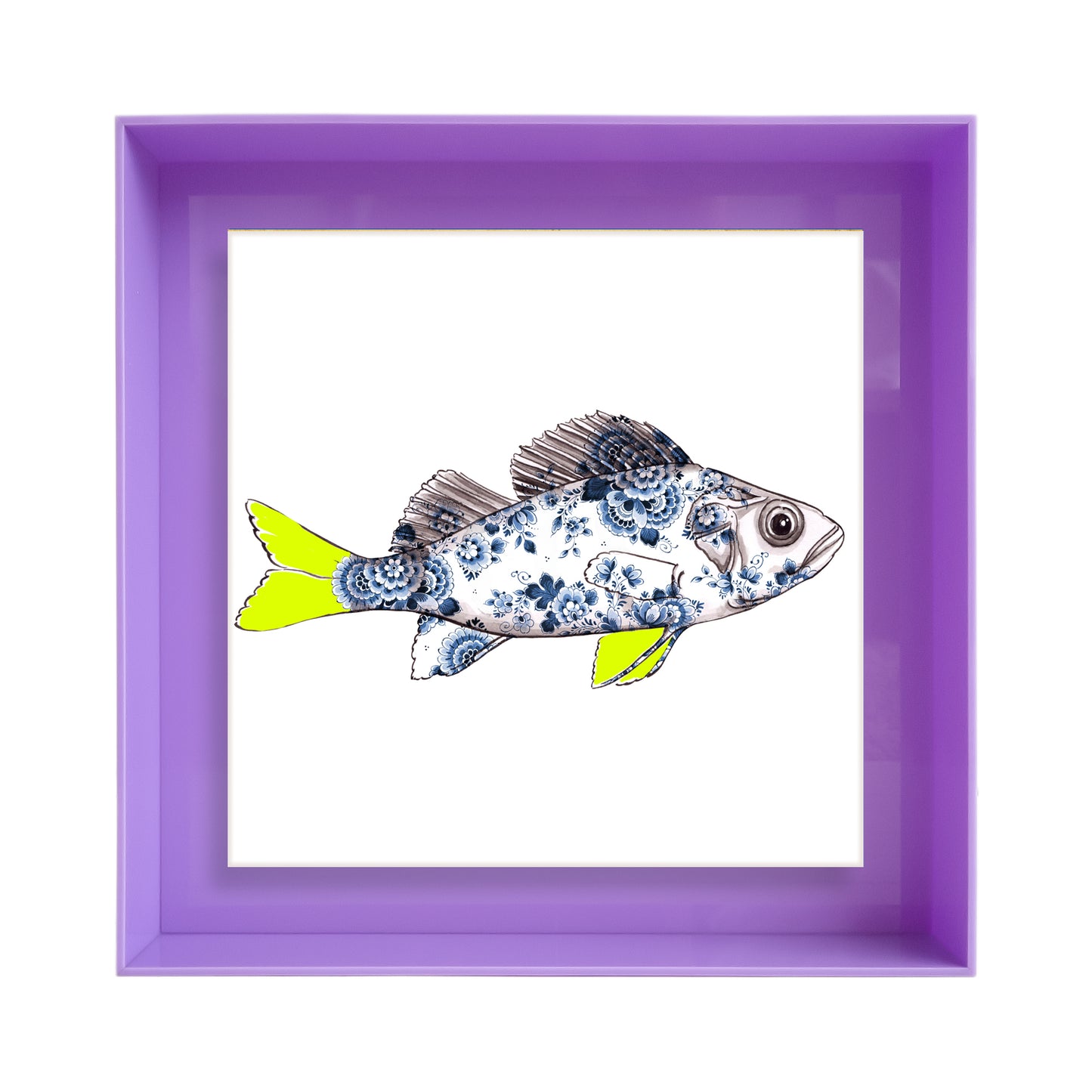 Funky Fish Baars Wit