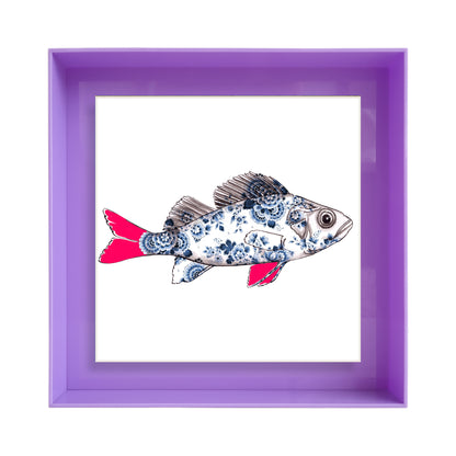 Funky Fish Baars Wit