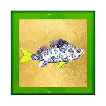 Funky Fish Baars Goud