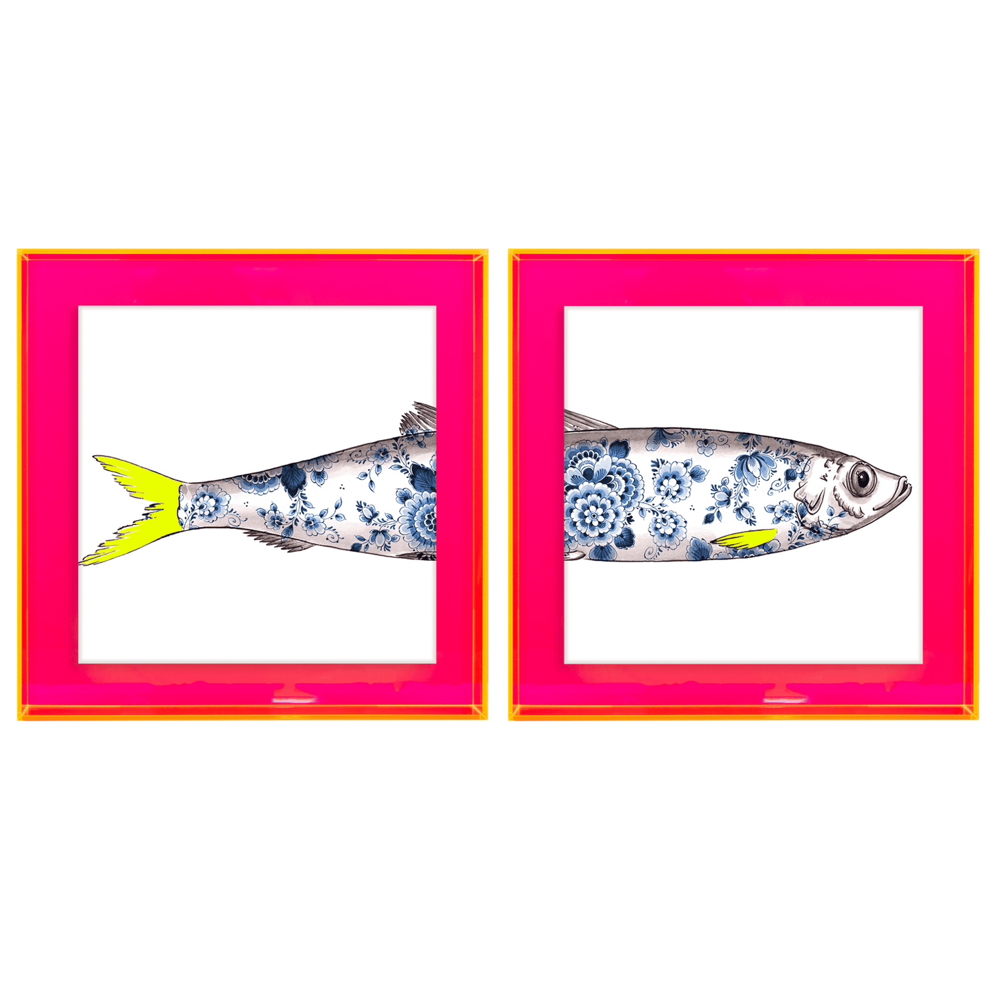 Funky Fish Haring Wit tweeluik