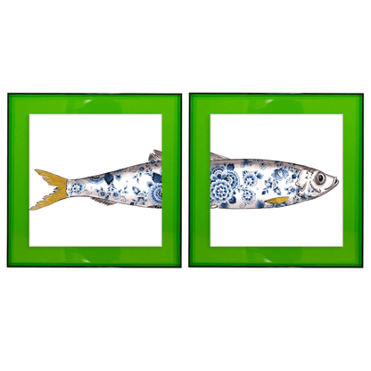 Funky Fish Haring Wit tweeluik