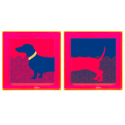 Te-e-eckel Roze/Blauw