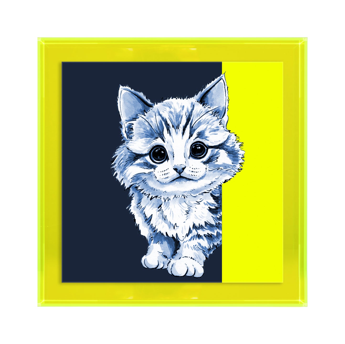 Tom de poes op blauw achtergrond vierkant