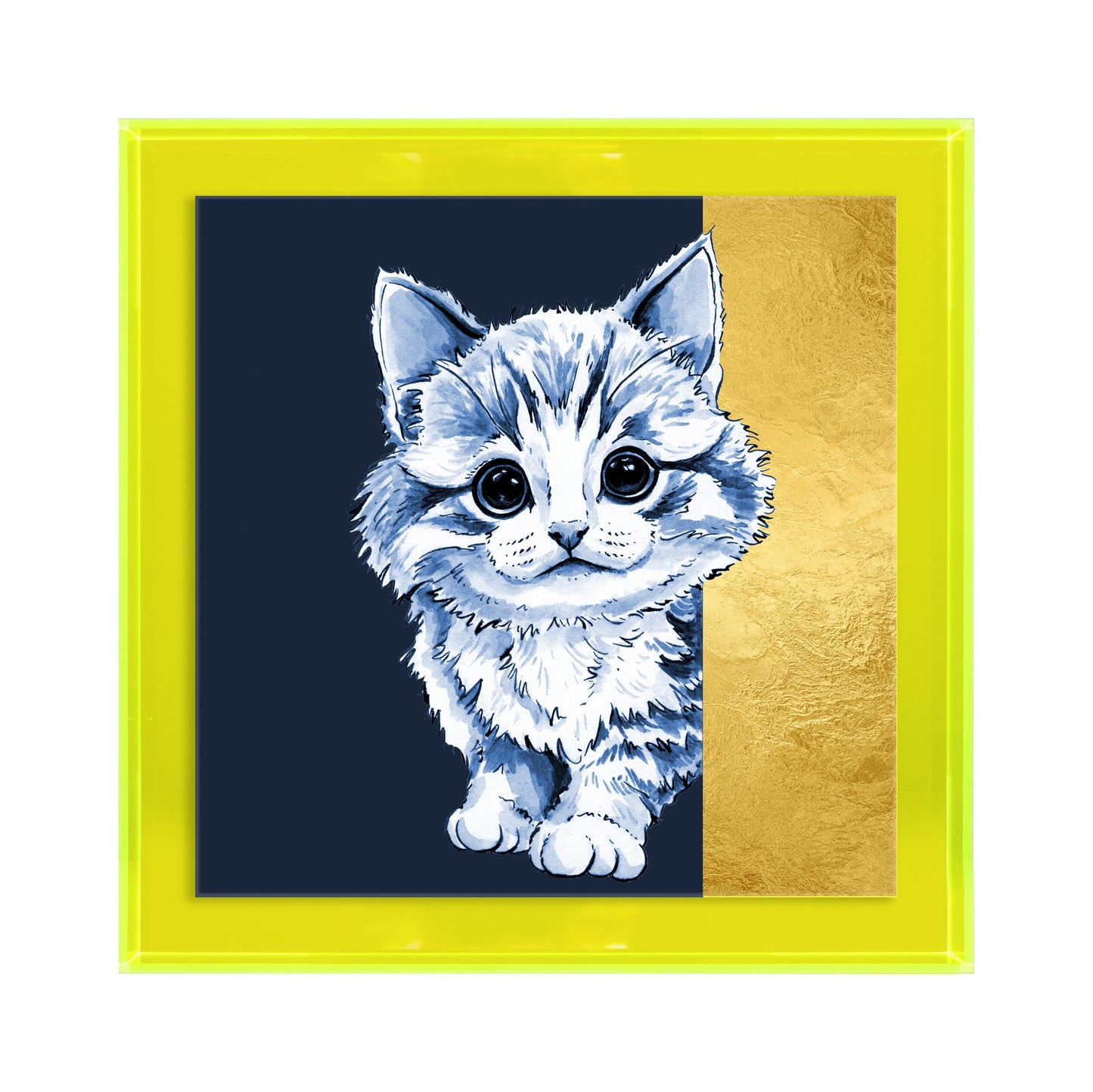 Tom de poes op blauw achtergrond vierkant