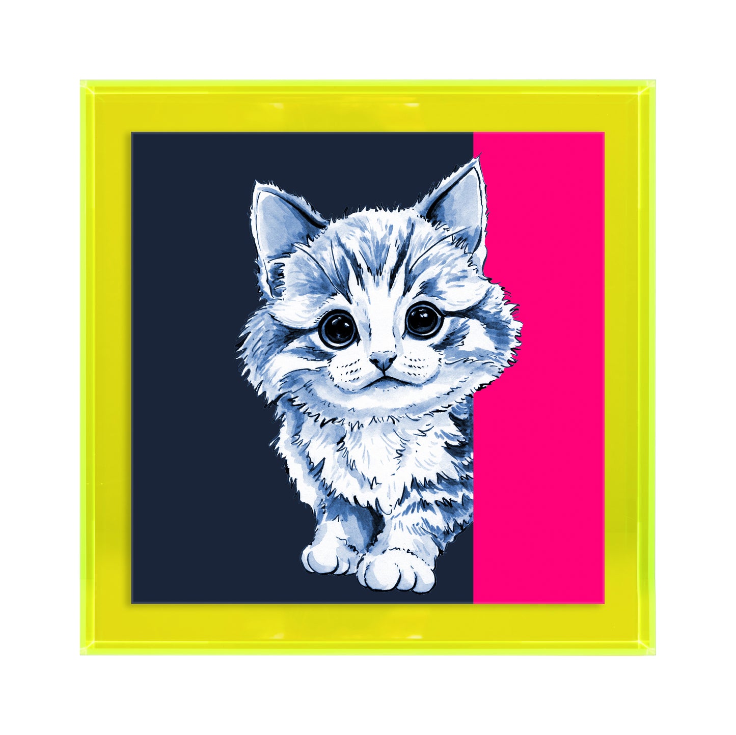 Tom de poes op blauw achtergrond vierkant