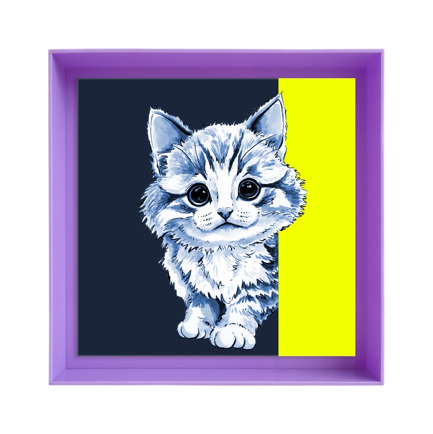 Tom de poes op blauw achtergrond vierkant