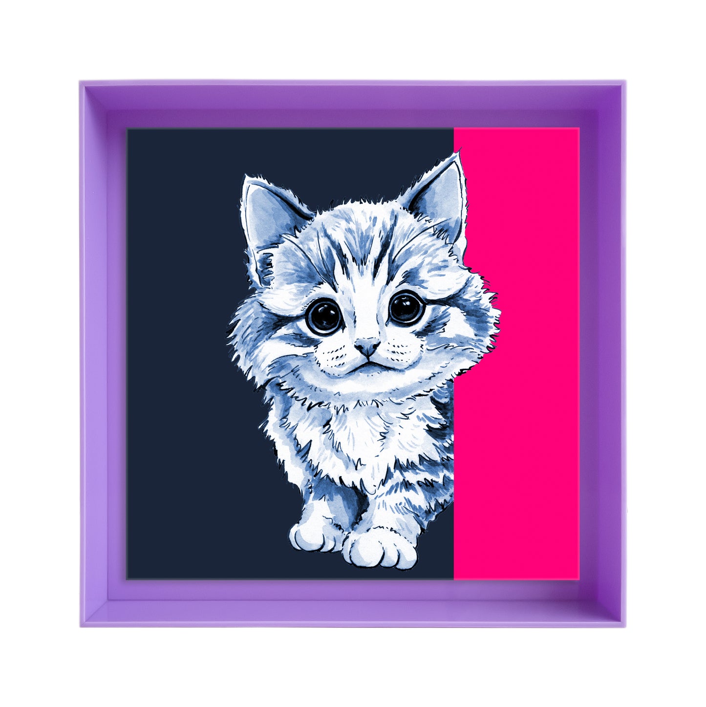 Tom de poes op blauw achtergrond vierkant