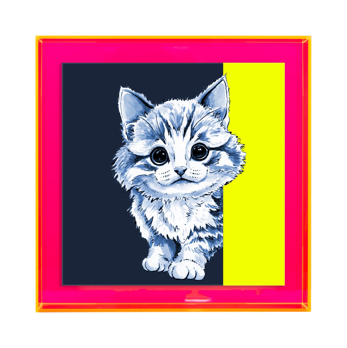 Tom de poes op blauw achtergrond vierkant