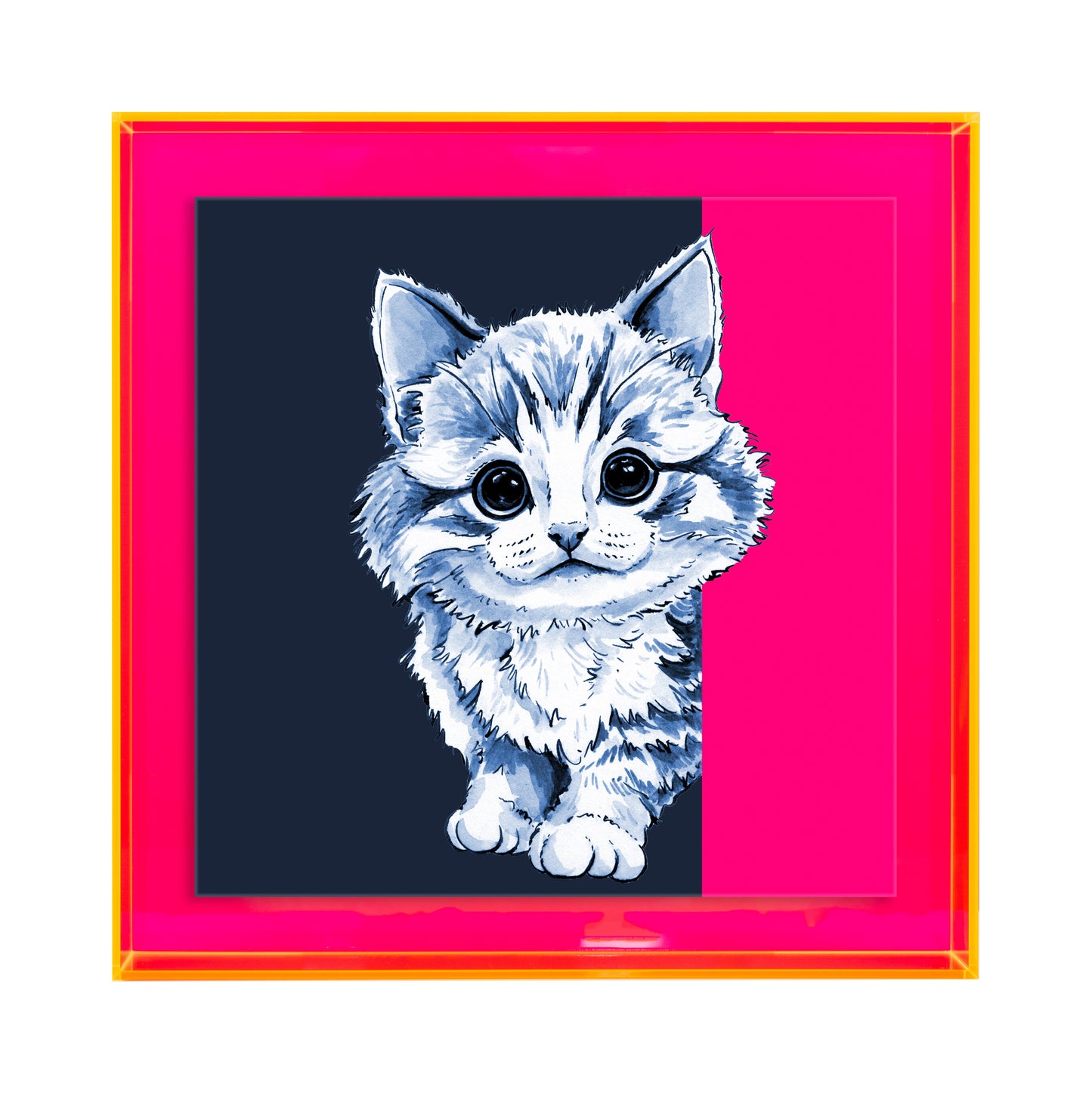 Tom de poes op blauw achtergrond vierkant