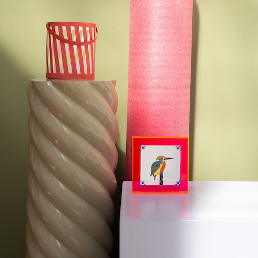 ijsvogel in neon roze lijstje