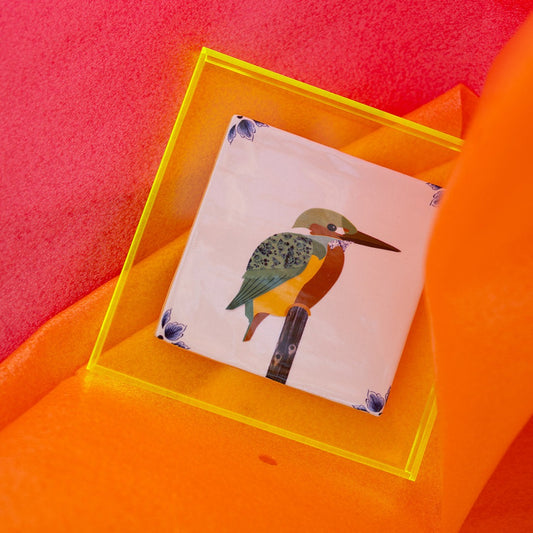 een ijsvogel op een tegel in een neon geel lijstje