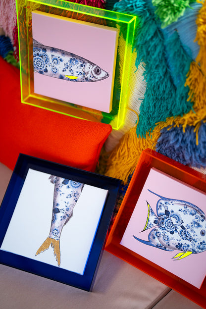 Verschillende Funky Fish in neon gele en roze lijsten