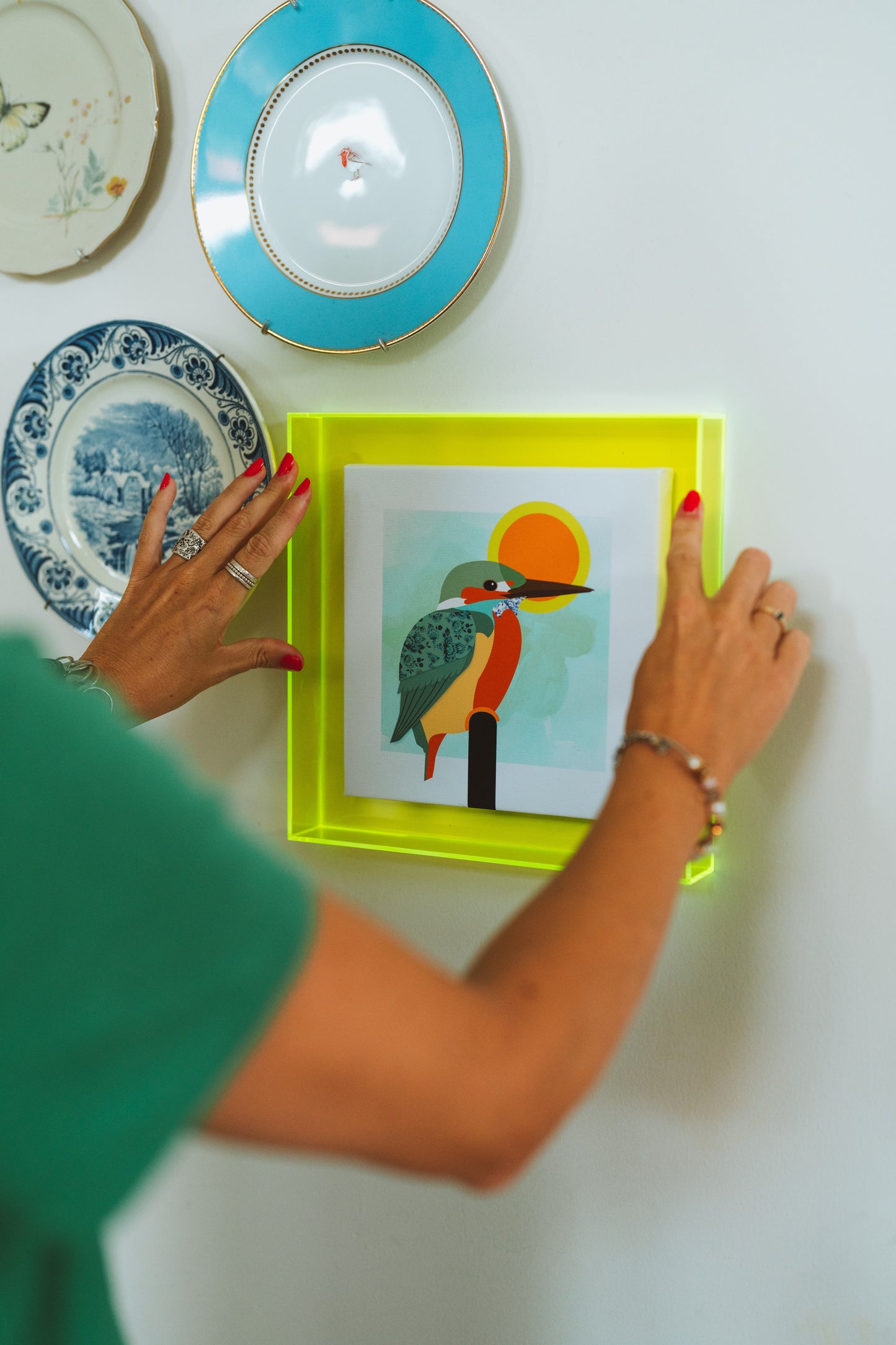 Vogelvrij 'ijsvogel'