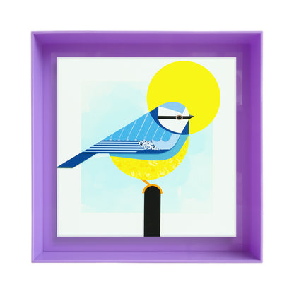 Vogelvrij 'pimpelmees'