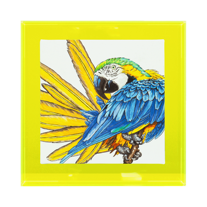 Birds of paradise 'Ara'