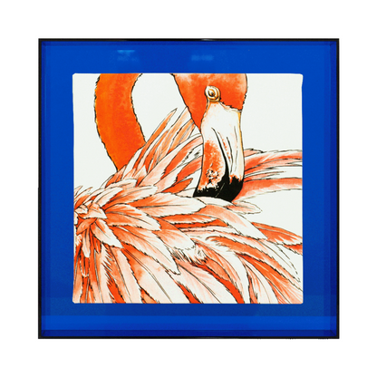 Birds of paradise 'Flamingo'