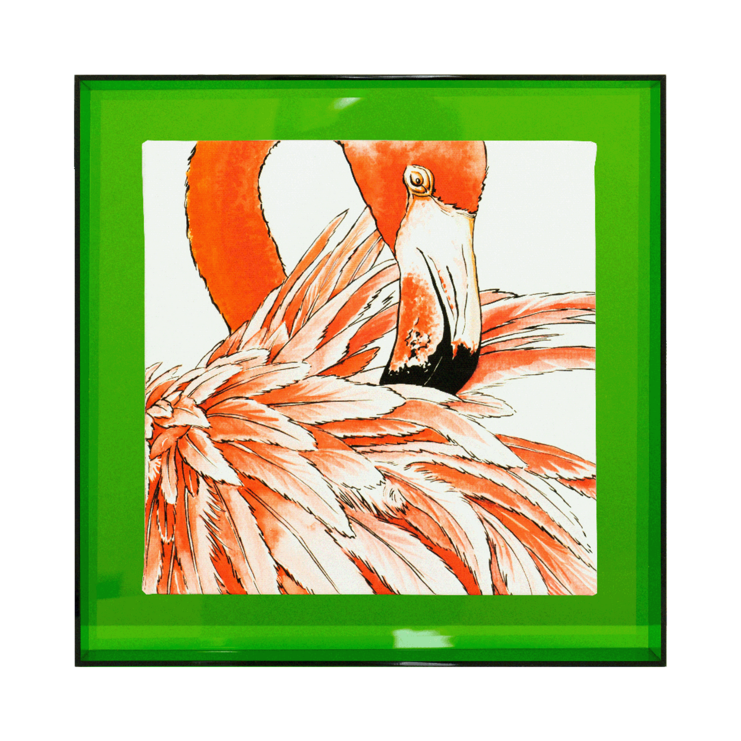 Birds of paradise 'Flamingo'