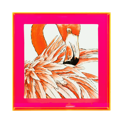 Birds of paradise 'Flamingo'