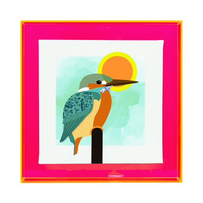 Vogelvrij 'ijsvogel'