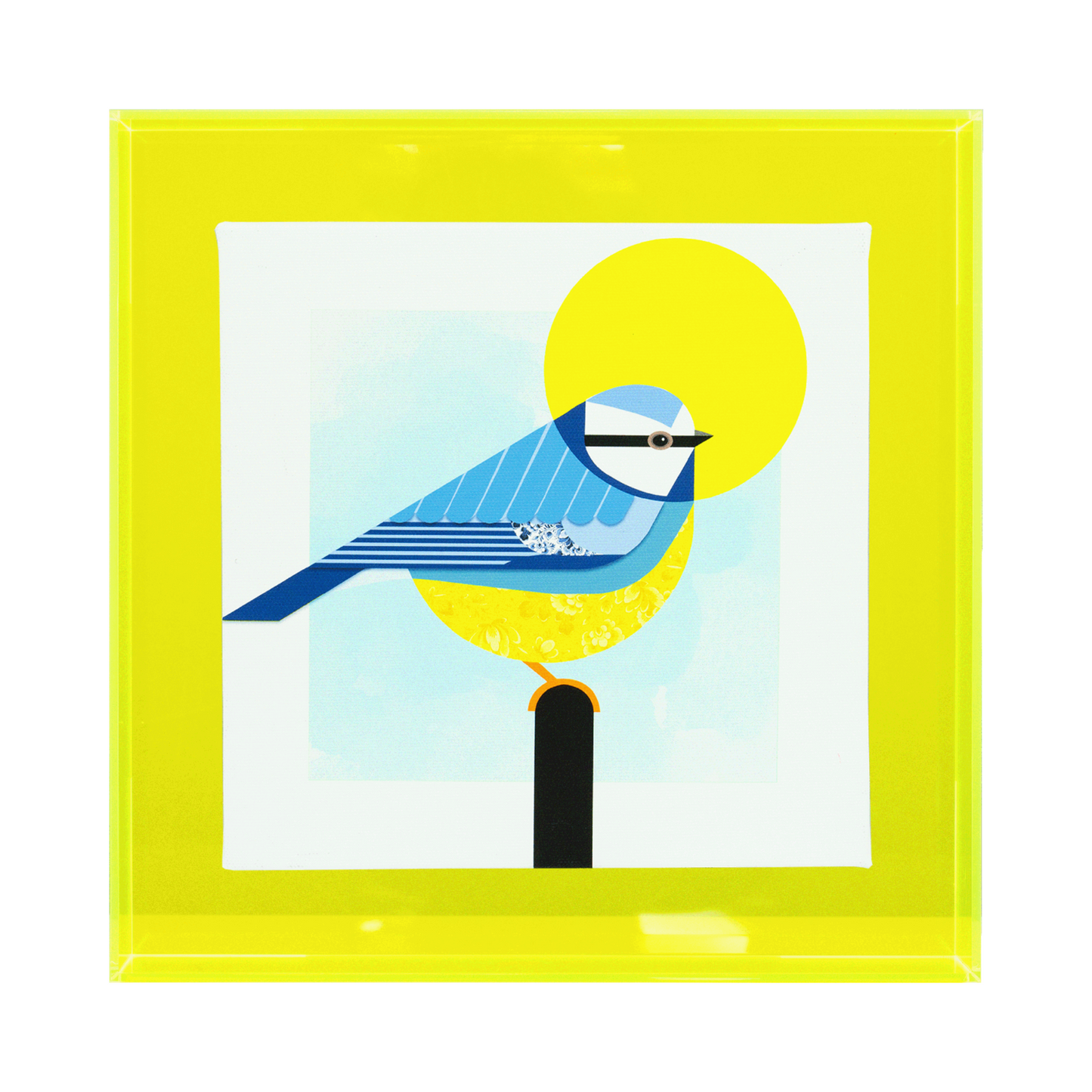 Vogelvrij 'pimpelmees'